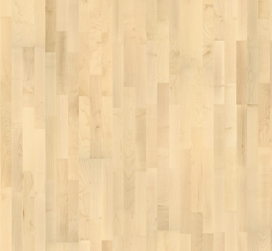 parador_1518122_b_front_wmd2jcijp92nfasc European maple 1518122 Паркетна дошка Parador