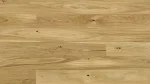 Дуб Askania Grande 1WG000675