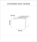 Профіль захисний для сходів Dollken TKNG 2.5 40 2,5 м - Зображення 4